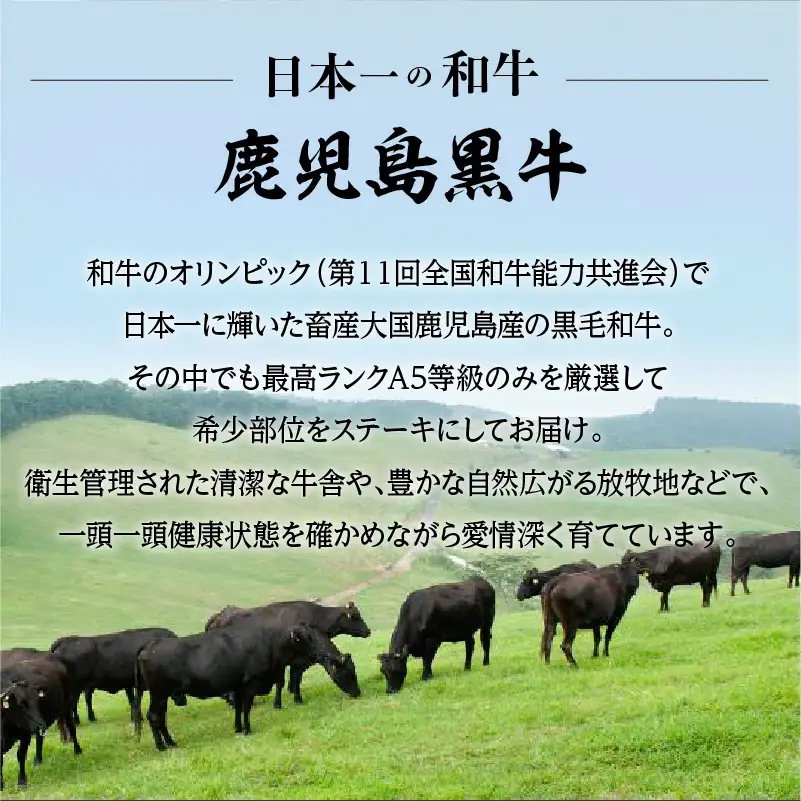 A5 鹿児島 黒毛和牛 希少部位 ステーキ セット 600g K002-003 肉 牛肉 冷凍