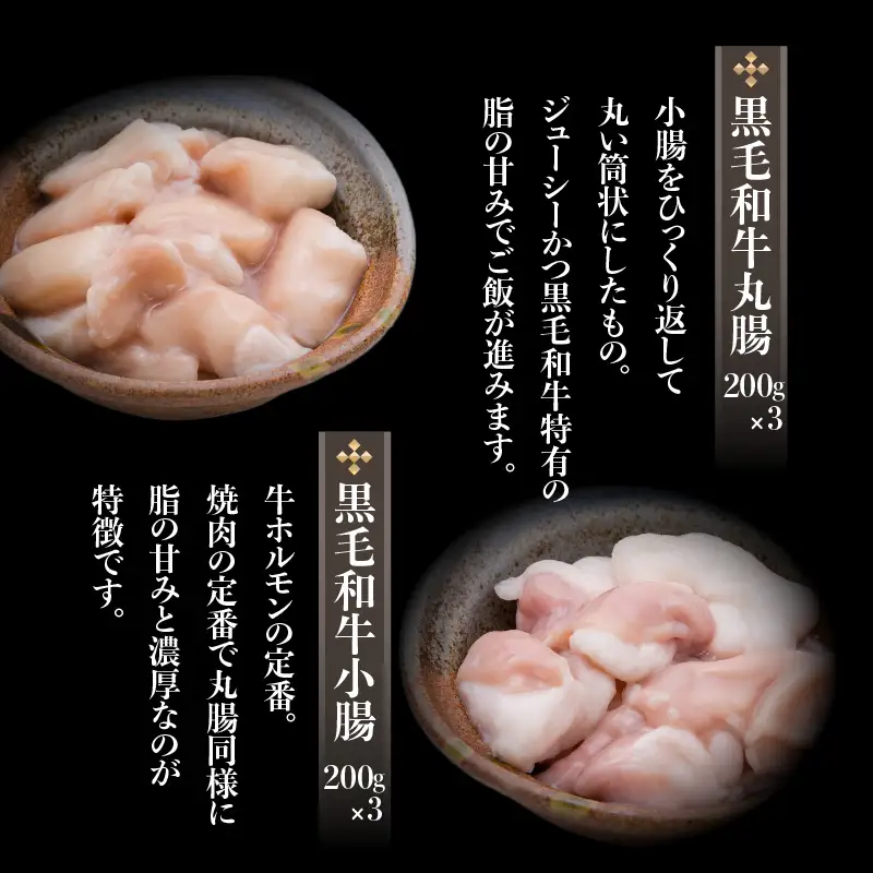 黒毛和牛 ！大人気の もつ （ ホルモン ）セット K002-006 肉 牛肉 冷凍