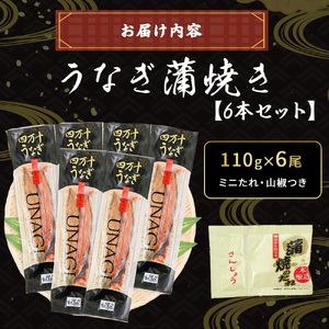 四万十うなぎ 蒲焼き (110g×6尾) うなぎ 国産鰻 土用の丑の日 ／Esu-125