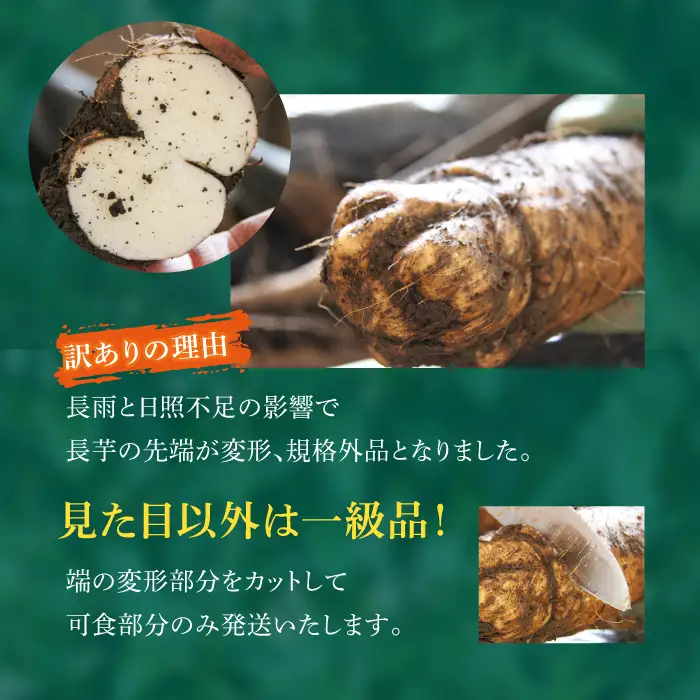 2026年12月上旬より発送！訳あり 土付き長芋（4kg）｜国産野菜 とろろご飯におすすめ！「マル庄」