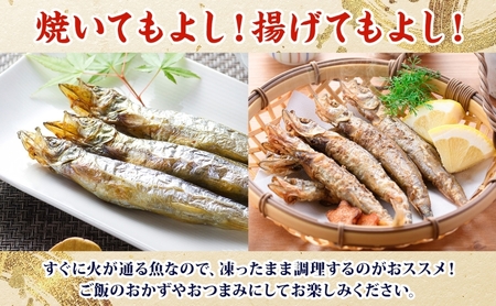 ししゃも魚貝類北海道産メス大干物ししゃも【30尾】