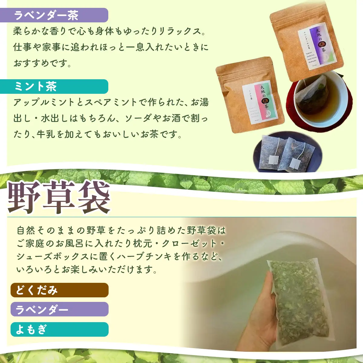 こだわりハーブティー 野草茶と野草袋 人気商品詰め合わせセット NAAC002