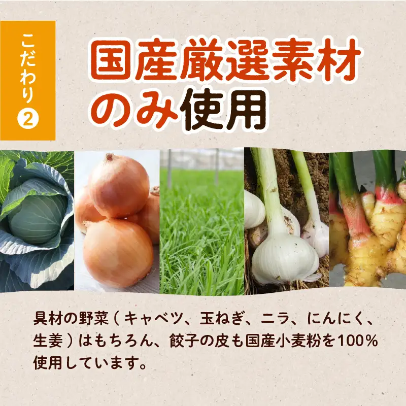 国産素材にこだわった黒豚餃子120個 K111-015 肉 豚肉 惣菜 総菜 冷凍