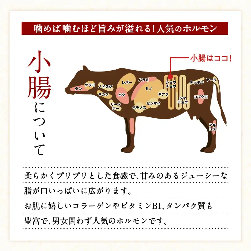 鹿児島県 産 黒毛和牛 上 ホルモン 1kg K328-012 肉 牛肉 冷凍