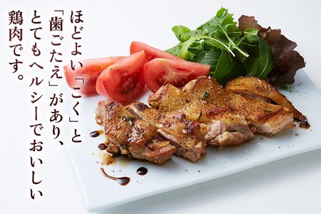 純系名古屋コーチン (半羽)【0871】