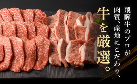 飛騨牛 霜降り／赤身 焼き肉 計1kg 飛騨牛 [EN023]