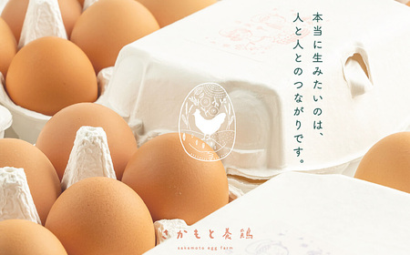 さかもと養鶏の白鳳卵：30個入り  | 卵 たまご 玉子 タマゴ 生たまご 生卵 白鳳卵 奈良県 五條市