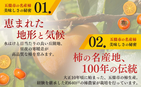 【堀内果実園】《贈答用》富有柿 大玉ギフト 4L以上 5玉 | 秋 旬 国産 奈良県 五條市