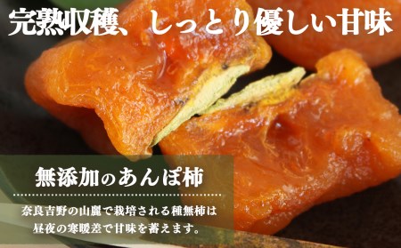 【 堀内果実園 】 優しい甘さ あんぽ柿 ギフト セット 5個 | 果物 柿 贈答