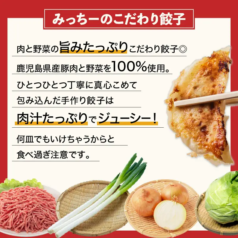 【5営業日以内に発送】鹿児島人気餃子店のお得な餃子食べ比べセット K118-001 肉 豚肉 惣菜 総菜 冷凍 スピード配送 最短 すぐ届く お急ぎ
