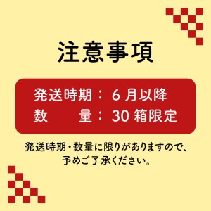 喜入のスイートコーン 4.5kg～5kg K141-003