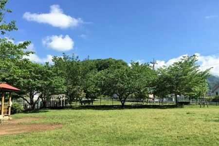 【寄七つ星ドッグラン＆カフェ】入園券２枚セット