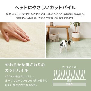 ペットにやさしい 8大消臭・抗菌 カーペット 1枚 4.5帖 グリーン 約261×261cm 600094845 [3477]