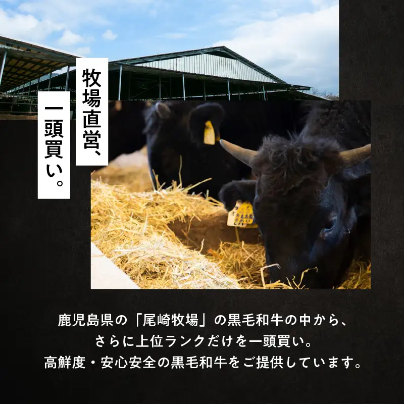 切り方選べる（ブロック・角切り・切り落とし）鹿児島黒毛和牛すね1kg K130-011 肉 牛肉 冷凍