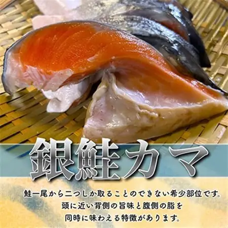 【訳あり】人気海鮮お礼品 銀鮭カマ 約3kg_鮭 サケ さけ 訳あり おすすめ_【配送不可地域：離島】【1389618】