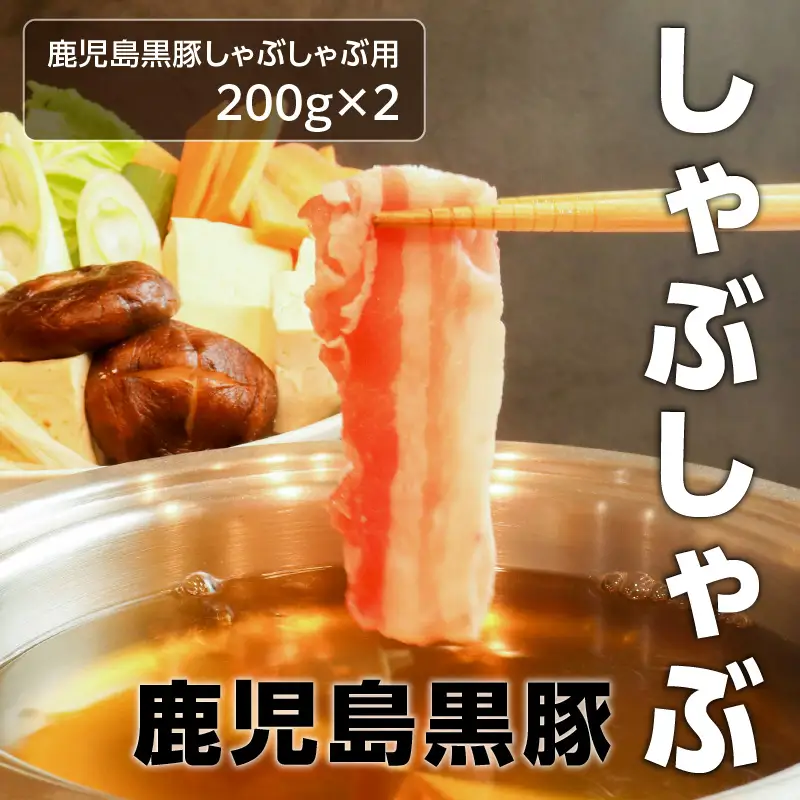 鹿児島肉祭り満喫セット K008-005 肉 豚肉 牛肉 惣菜 総菜 冷凍 ハンバーグ