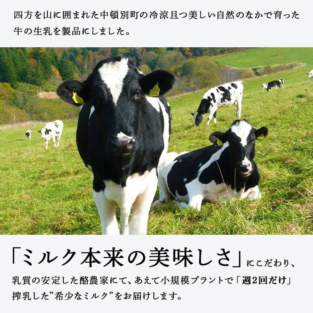 なかとん牛乳 200ml×4本 成分無調整