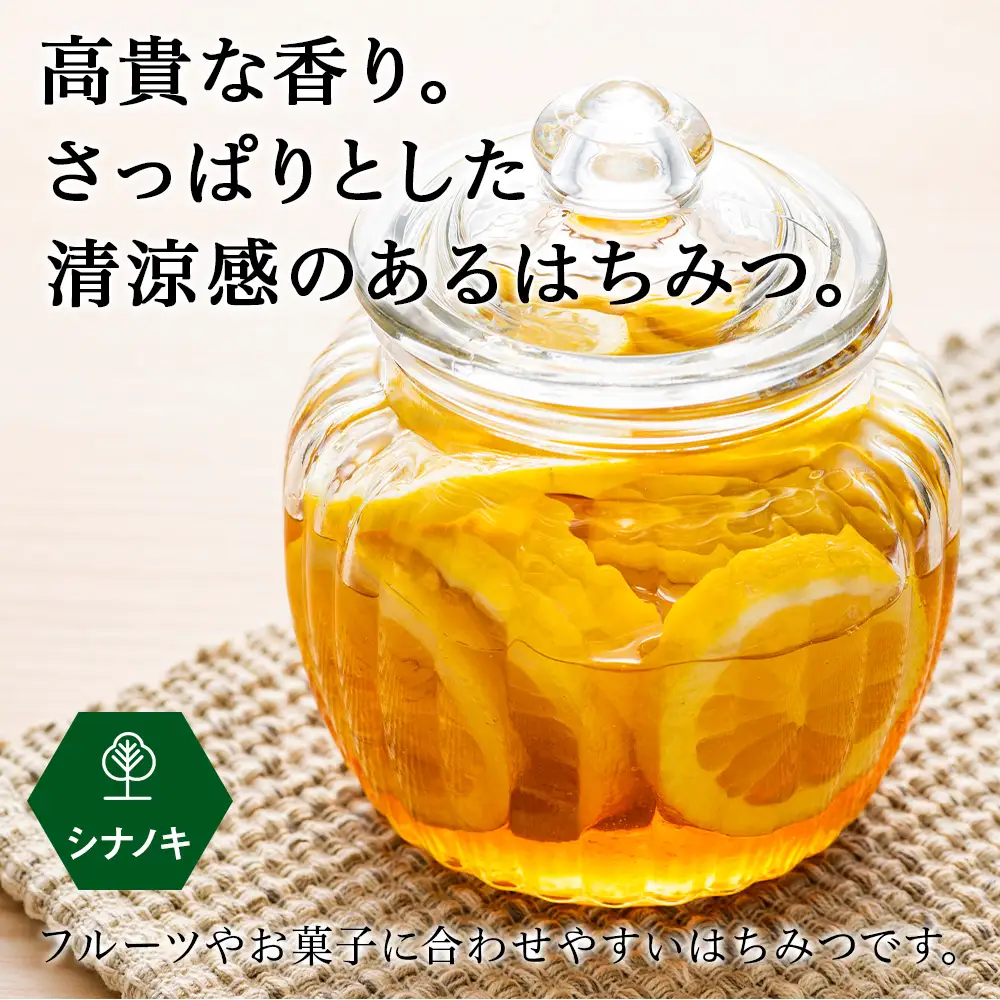 はちみつ 彩北の滴 シナノキ 1kｇ×1本