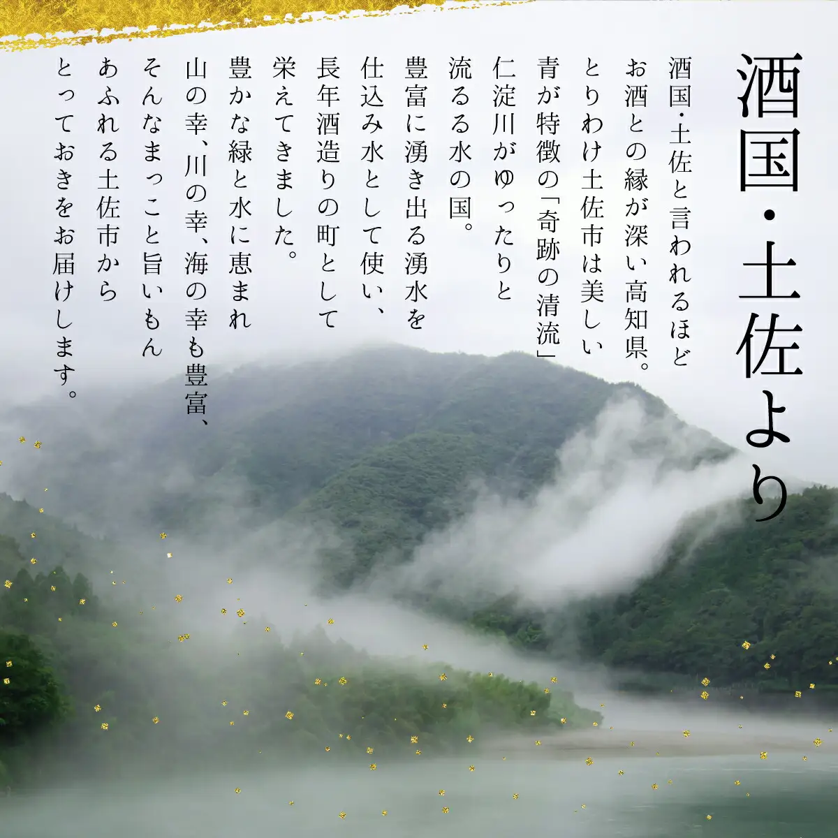 【先行予約】純米吟醸原酒 CEL-24 1800ml (生酒) 2本セット〈2026年12月上旬より順次発送〉 / お酒 酒 さけ 日本酒 純米吟醸 一升瓶 1.8リットル 原酒 度数 14度 地酒 亀泉 cel24 セル24【株式会社とさもん】[BQAE064]