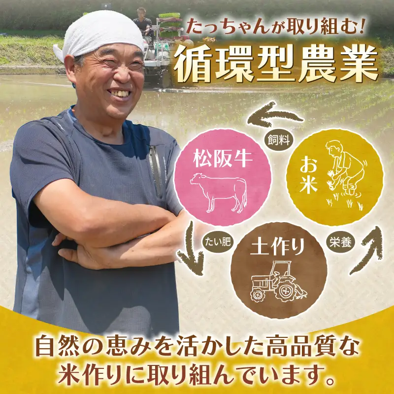 令和7年ミルキークイーン10kg [米 白米]