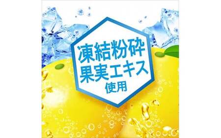 ウィルキンソン 本格グレープフルーツ炭酸水500ペット（2ケース）