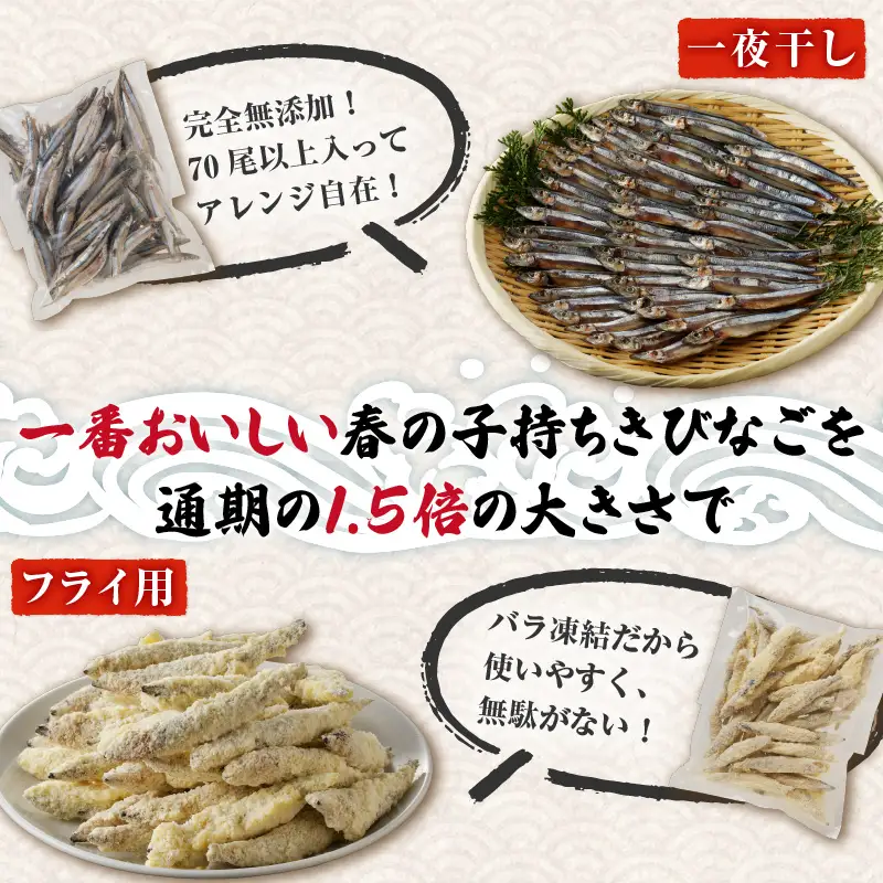 【 津曲商店 】 きびなご 一夜干し、 フライ用 詰合せ 1kg K100-001 魚 冷凍