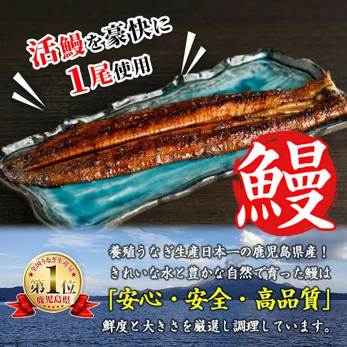 i799 鹿児島県産 鰻重(1人前) うなぎ 鰻 ウナギ うな重 国産 鹿児島県産 おかず 晩御飯 特別な日 【とらふぐ家】