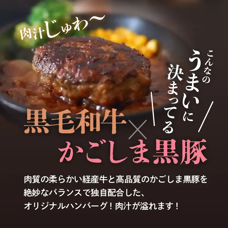 黒豚×黒牛ハンバーグ9個セット K098-005 肉 豚肉 牛肉 惣菜 総菜 冷凍