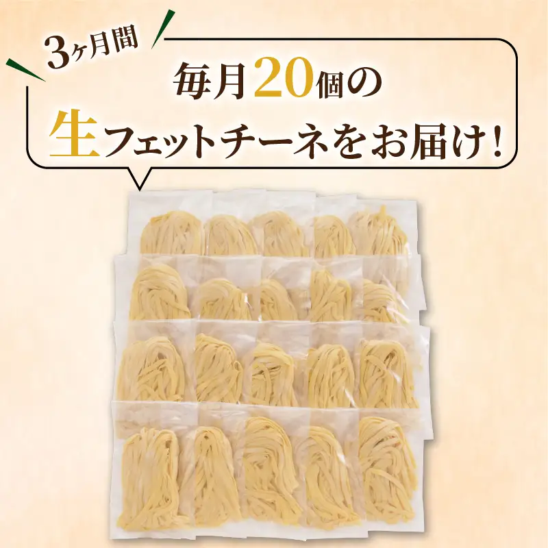 【3ヶ月 定期便】生フェットチーネ 20個 K036-T04