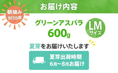 数量限定 アスパラ LM サイズ 600g 朝採り 直送 夏芽 グリーンアスパラガス 朝採れ 先行予約 【2026年6月から8月お届け】 BT11