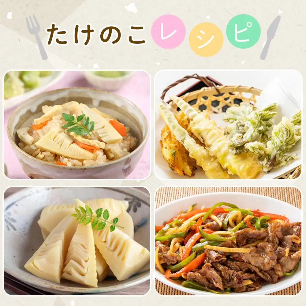 ＜先行予約／令和9年(2027年)３月下旬頃から発送＞貝塚市木積産　特選朝掘り筍　約２kg