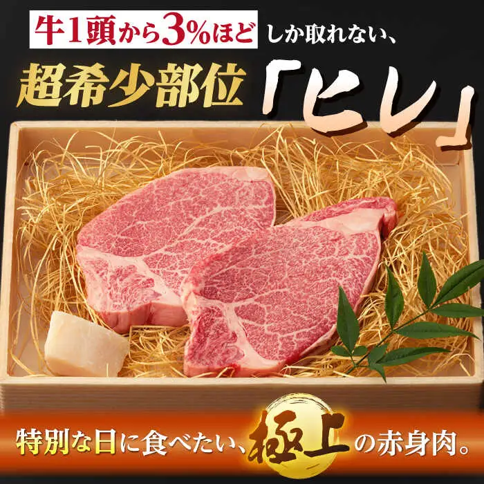 【全3回定期便】ステーキ 定期便【野中精肉店】[VF10] ステーキ 定期便