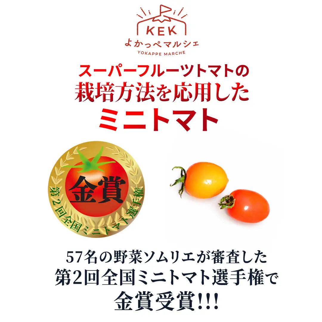 《 2027年 収穫分 》 スーパーフルーツミニトマト 約1kg 先行予約 ミニトマト フルーツトマト ブランドトマト 野菜 ギフト 贈答 [BC070sa]