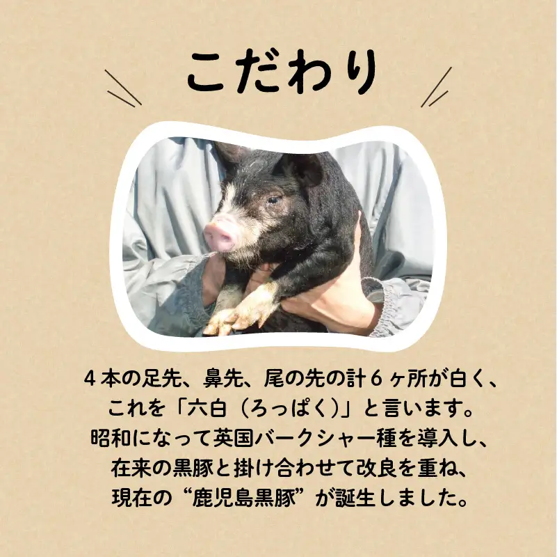 【10営業日以内に発送】鹿児島黒豚 味噌漬け K091-003 肉 豚肉 惣菜 総菜 冷凍 スピード配送 最短 すぐ届く お急ぎ