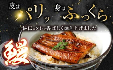 【通年受付】 数量限定! 鹿児島県産 特大サイズうなぎ蒲焼 3尾 合計558g以上 鹿児島 うなぎ 蒲焼 特大サイズ 個包装 小分け BSR-325