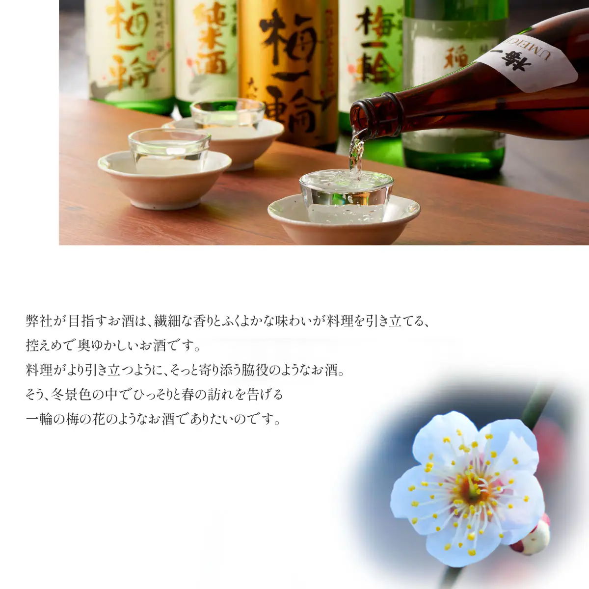 梅一輪 大吟醸酒 特別詰め合わせ SMC002