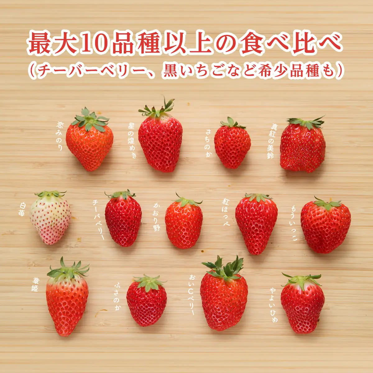 【12月上旬から発送】いちご狩りチケット（2名様分） いちご イチゴ 苺 イチゴ狩り いちご狩り体験 チケット 利用券 千葉県 山武市 SMQ001