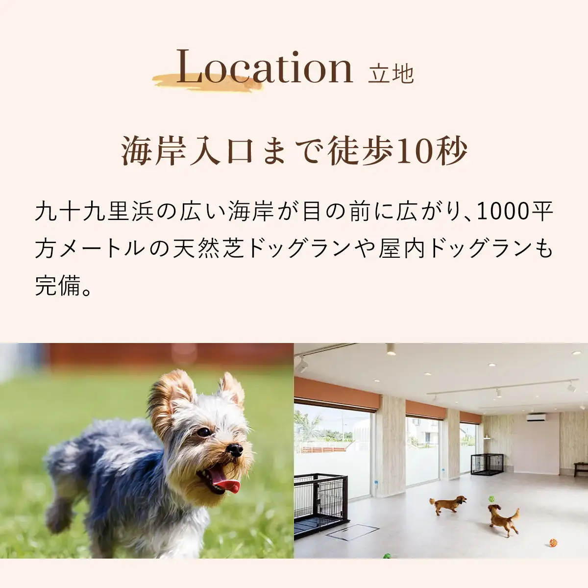 愛犬と泊まれるホテル「＆WAN九十九里」1泊2食付宿泊券（1頭・2名様） SMU001／旅行 宿泊券 宿泊 ホテル 愛犬 ペット  チケット