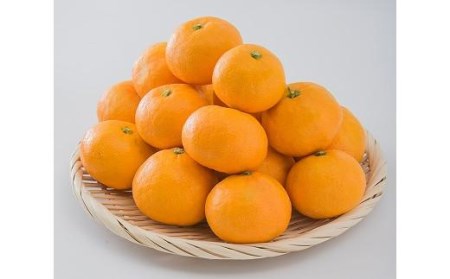 中島産 みかん S～L サイズ 5kg 温州 みかん【FA0141】