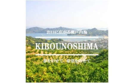 【2026年10月上旬頃から順次発送】希望の島 国産ライム 1kg 小玉～中玉 柑橘【FT026_x】