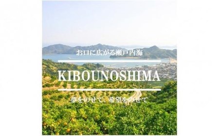 【2027年1月上旬頃から順次発送】希望の島 温州みかん 新品種『ゆたか』 3kg 愛媛県産 みかん 柑橘【FT028_x】