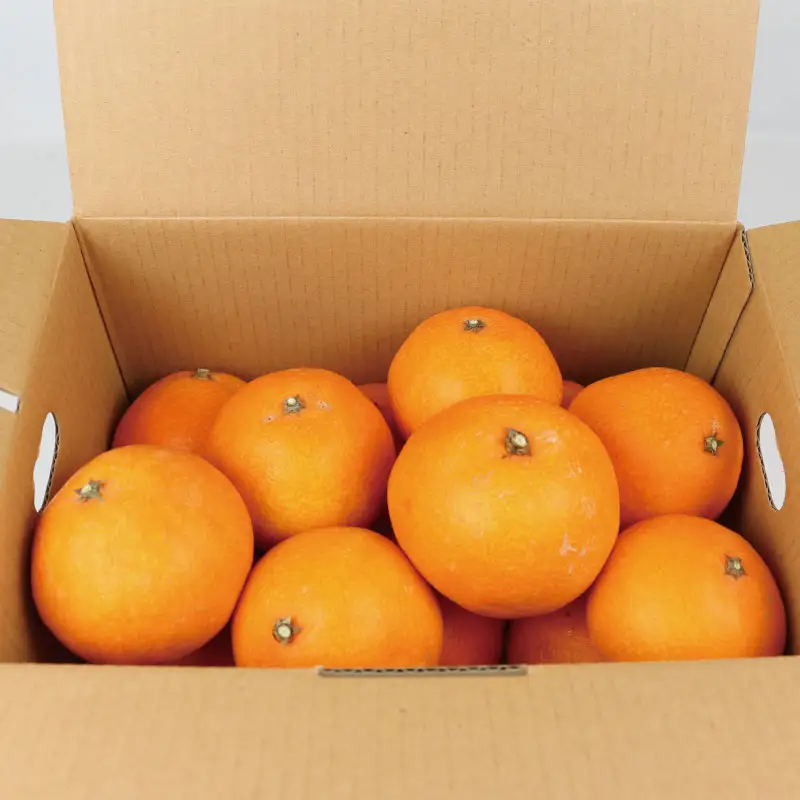 【愛果28号】 【紅まどんな と同品種】 まどんな 3kg 家庭用 姫柑露 南四国ファーム 【B013-035011】