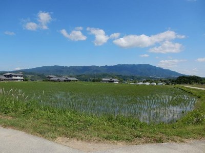 大和五條の「ゆめ野山米」（あきたこまち3kg×2袋）