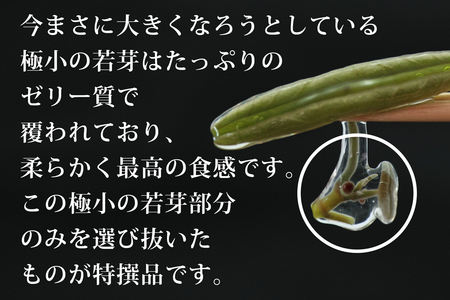 特選じゅんさい水煮瓶詰め1本