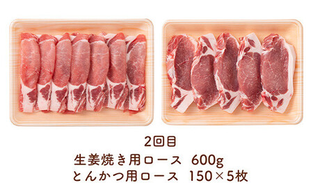 《定期便2回》 山形豚お楽しみ定期便 計2.55kg (しゃぶしゃぶ・生姜焼き・とんかつ用) 山形県産 銘柄豚 認定 ブランド豚 豚肉 ロース バラ 山形県 南陽市 [1840]
