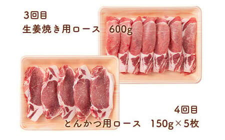 《定期便4回》 山形豚満喫定期便 計2.55kg (しゃぶしゃぶ・生姜焼き・とんかつ用) 山形県産 銘柄豚 認定 ブランド豚 豚肉 ロース バラ 山形県 南陽市 [1841]