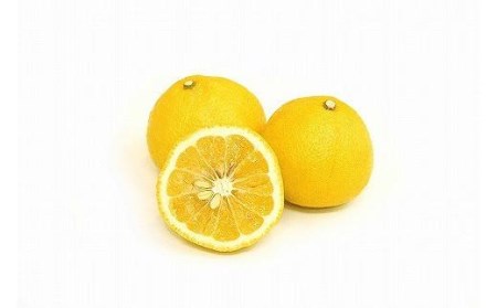 【2027年2月中旬頃から順次発送】はるか 家庭用(優品)  約2.5kg【KK0201】