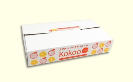 本格かんきつジュレ「いちずみ」＜せとか＞6個入り（簡易BOX入り）ゼリー ゼリー ゼリー ゼリー ゼリー【KK1021】