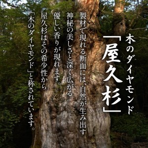 屋久杉 定規 A ゴシック体 K042-012_1