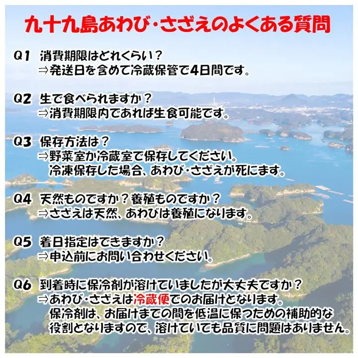 厳選 高級 【あわび】 600g 下処理済み A183a